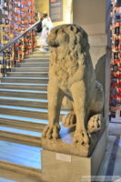 Lion Statue from the Monumental Gate of Bucaleon Palace (9).JPG